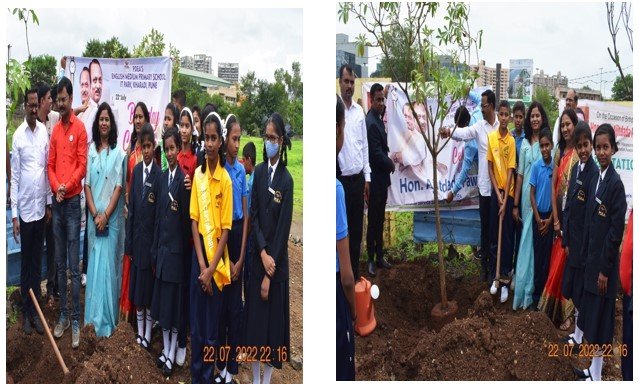 TREE PLANTATION